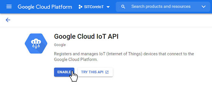GCloud Enable API