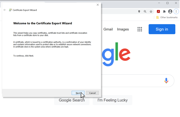 Download Root Certificate Step 5