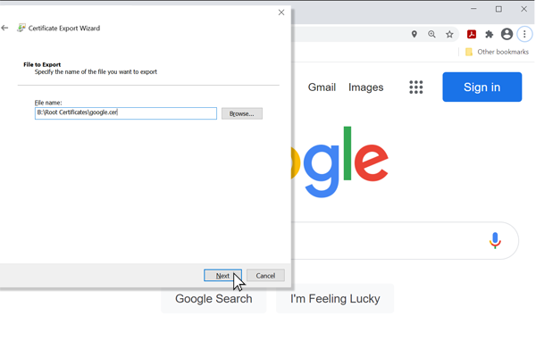 Download Root Certificate Step 7