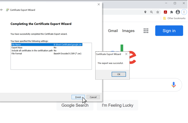 Download Root Certificate Step 8